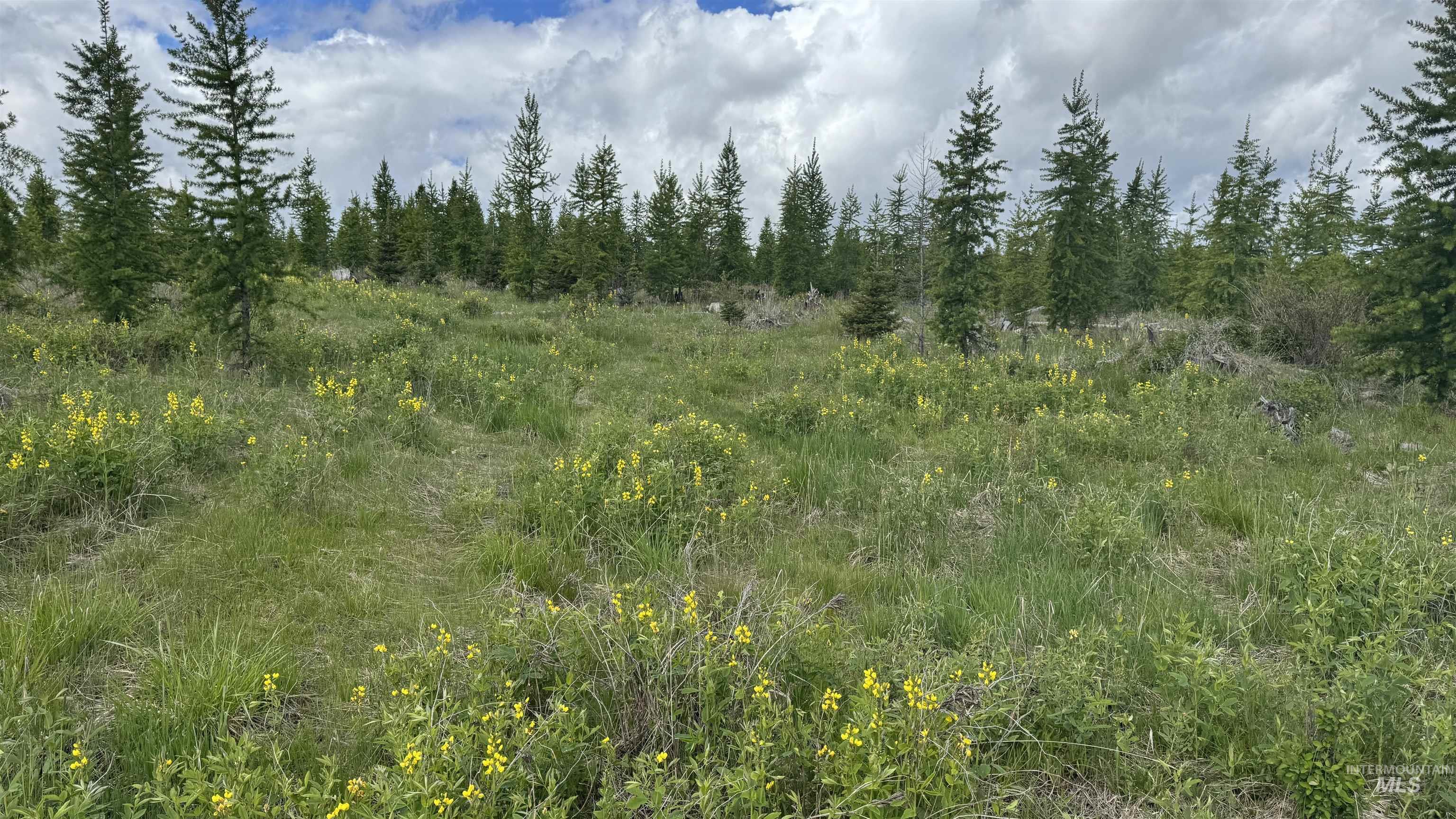 Tbd Upper Fords Creek Road Orofino, ID 83544 - Photo 24 of 24