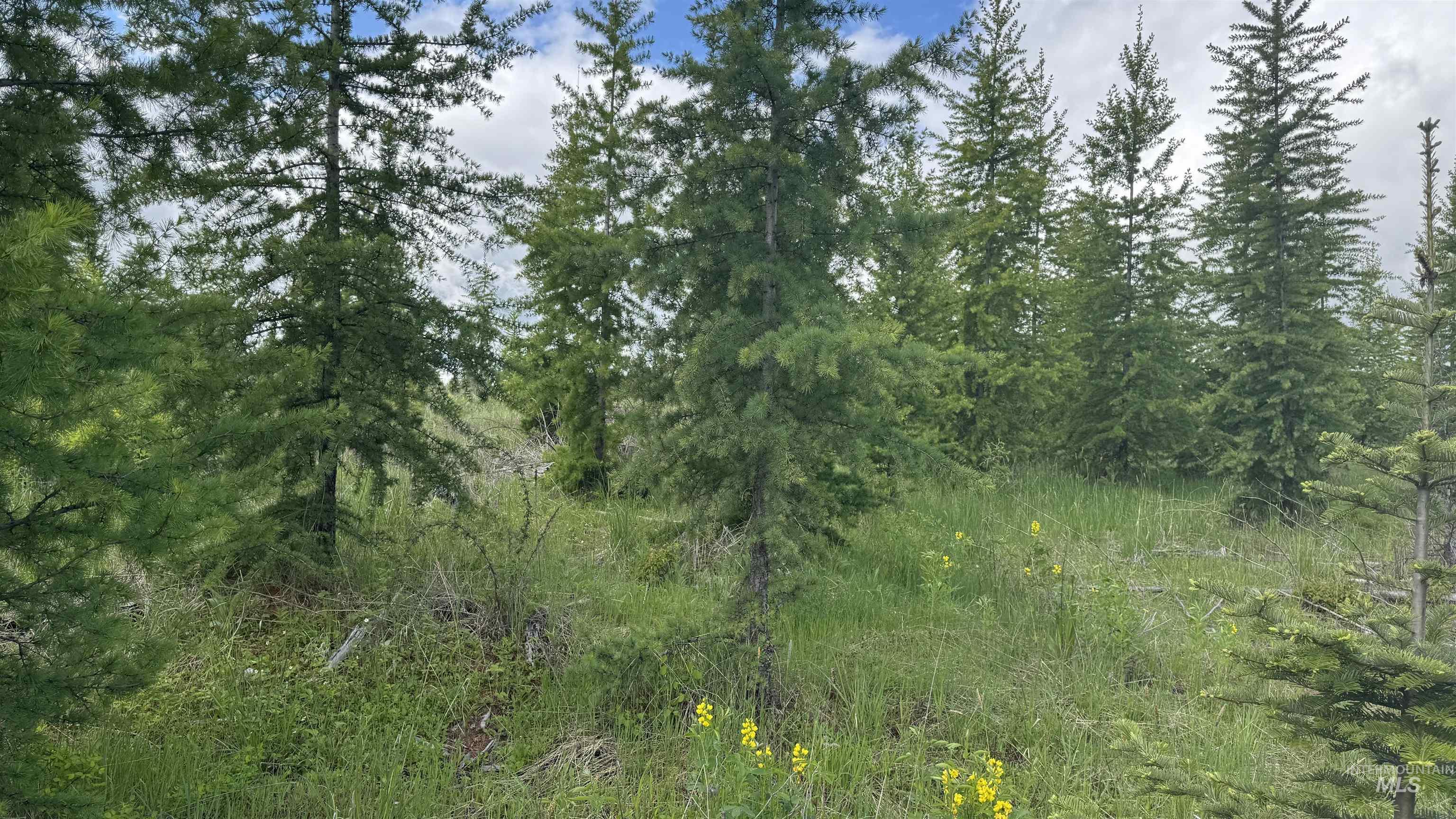 Tbd Upper Fords Creek Road Orofino, ID 83544 - Photo 3 of 24