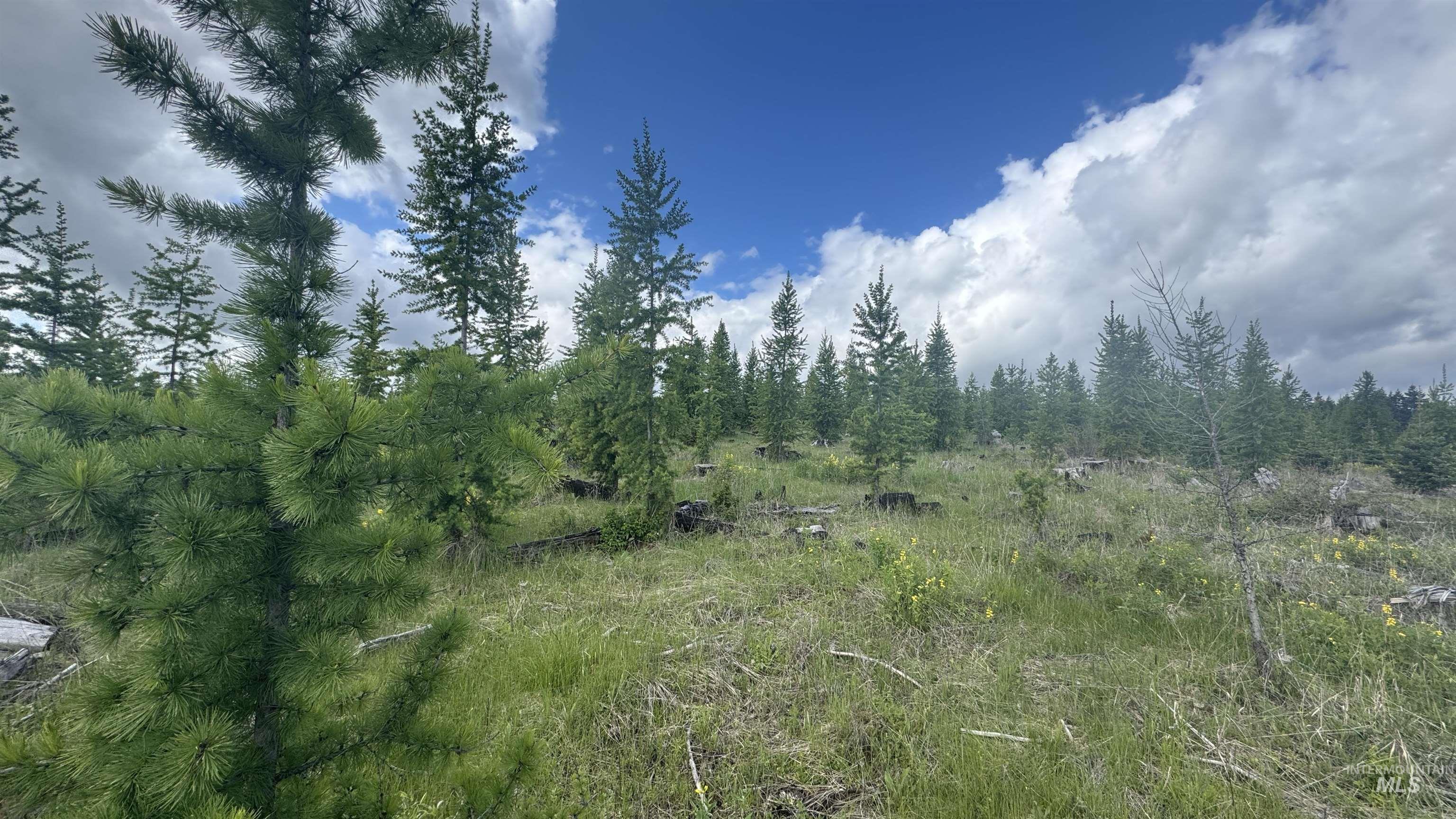 Tbd Upper Fords Creek Road Orofino, ID 83544 - Photo 7 of 24