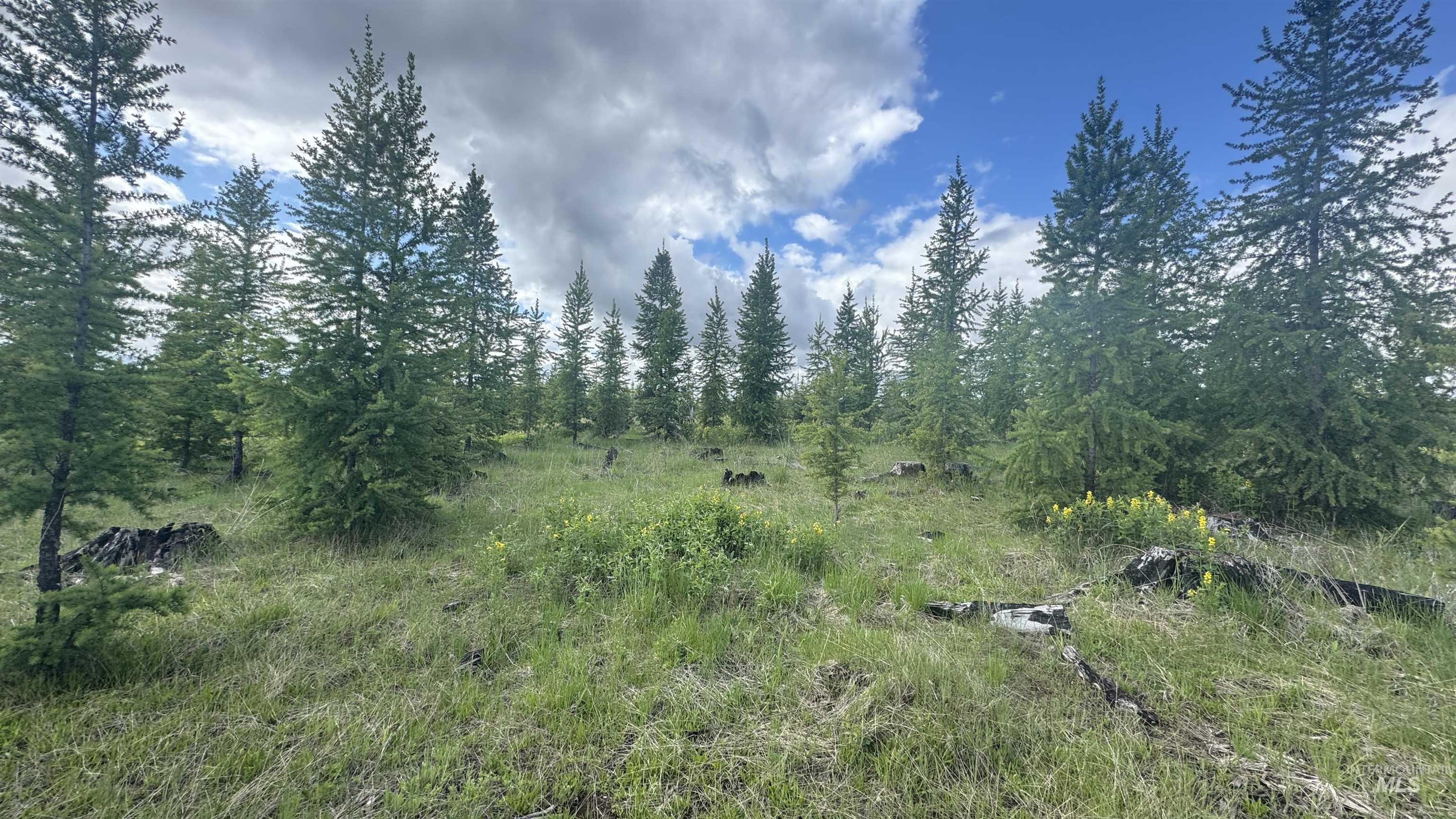 Tbd Upper Fords Creek Road Orofino, ID 83544 - Photo 9 of 24