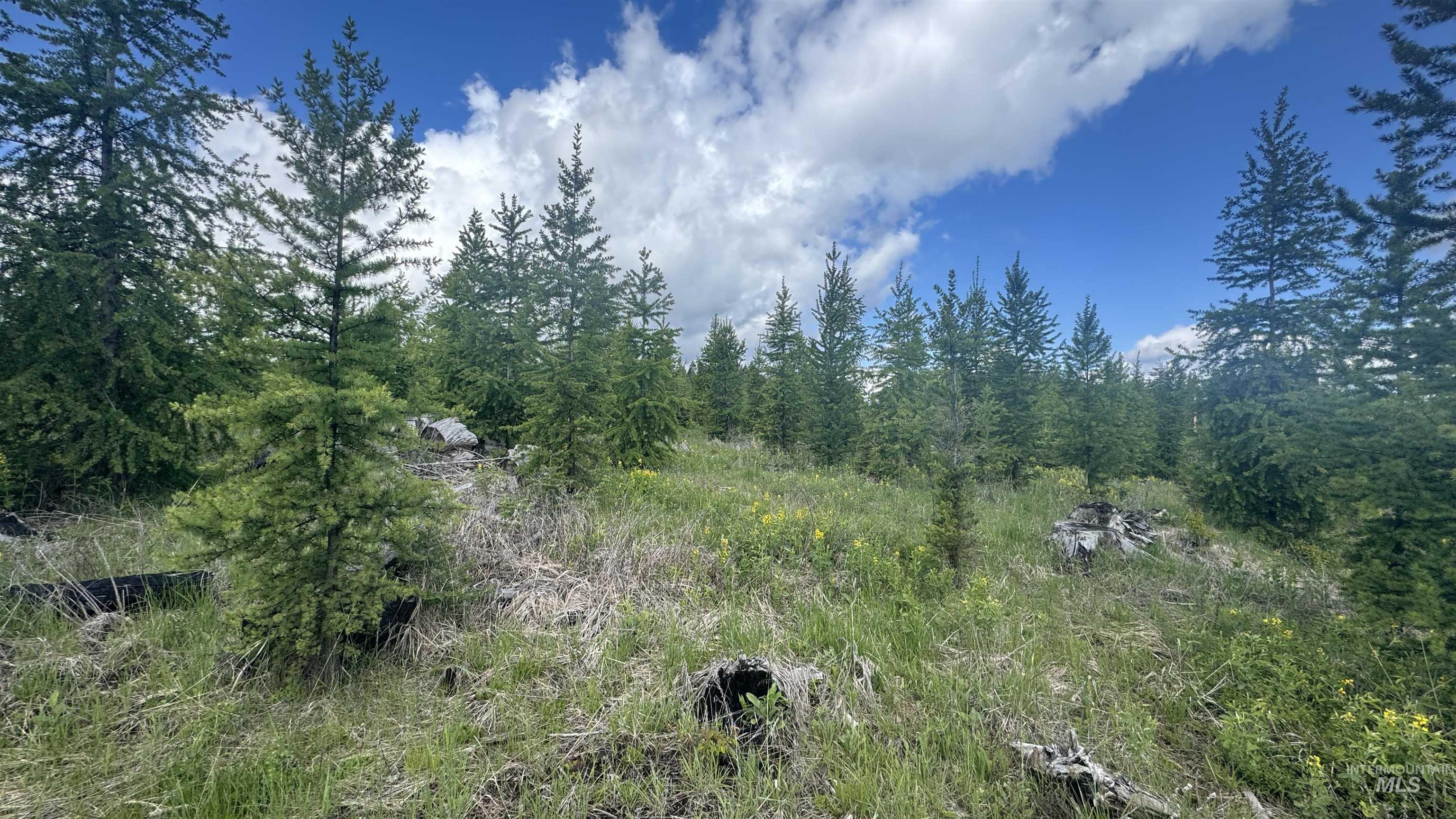 Tbd Upper Fords Creek Road Orofino, ID 83544 - Photo 10 of 24