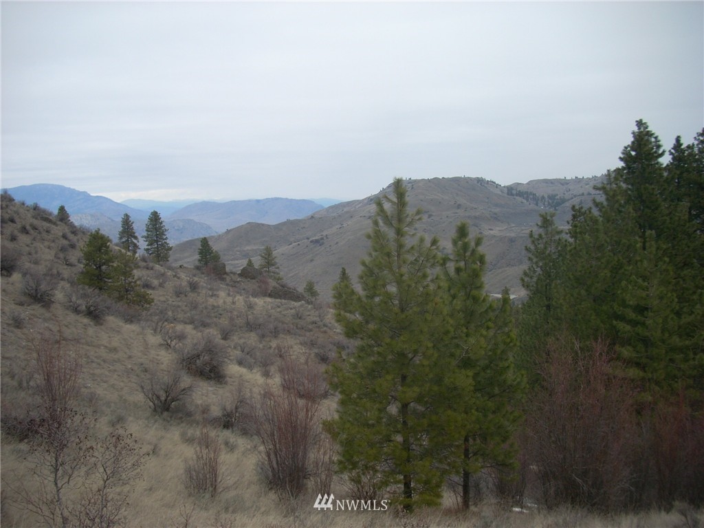 31 Mountain Spring Road Orondo, WA 98843 - Photo 3 of 9 Gallery Image 3