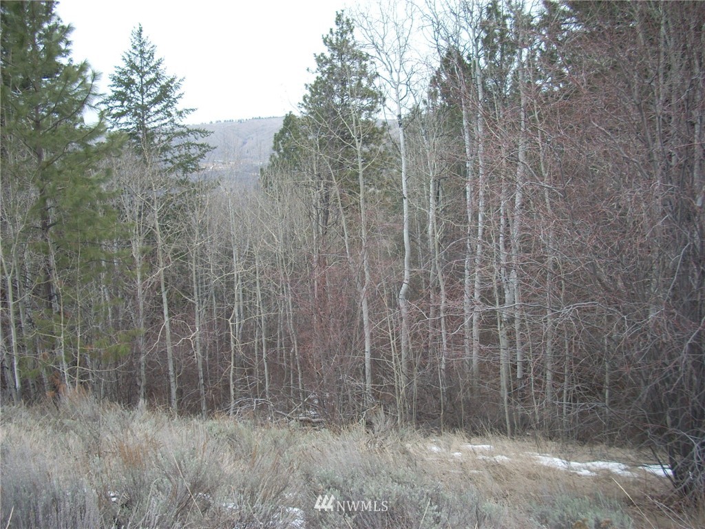 31 Mountain Spring Road Orondo, WA 98843 - Photo 5 of 9 Gallery Image 5
