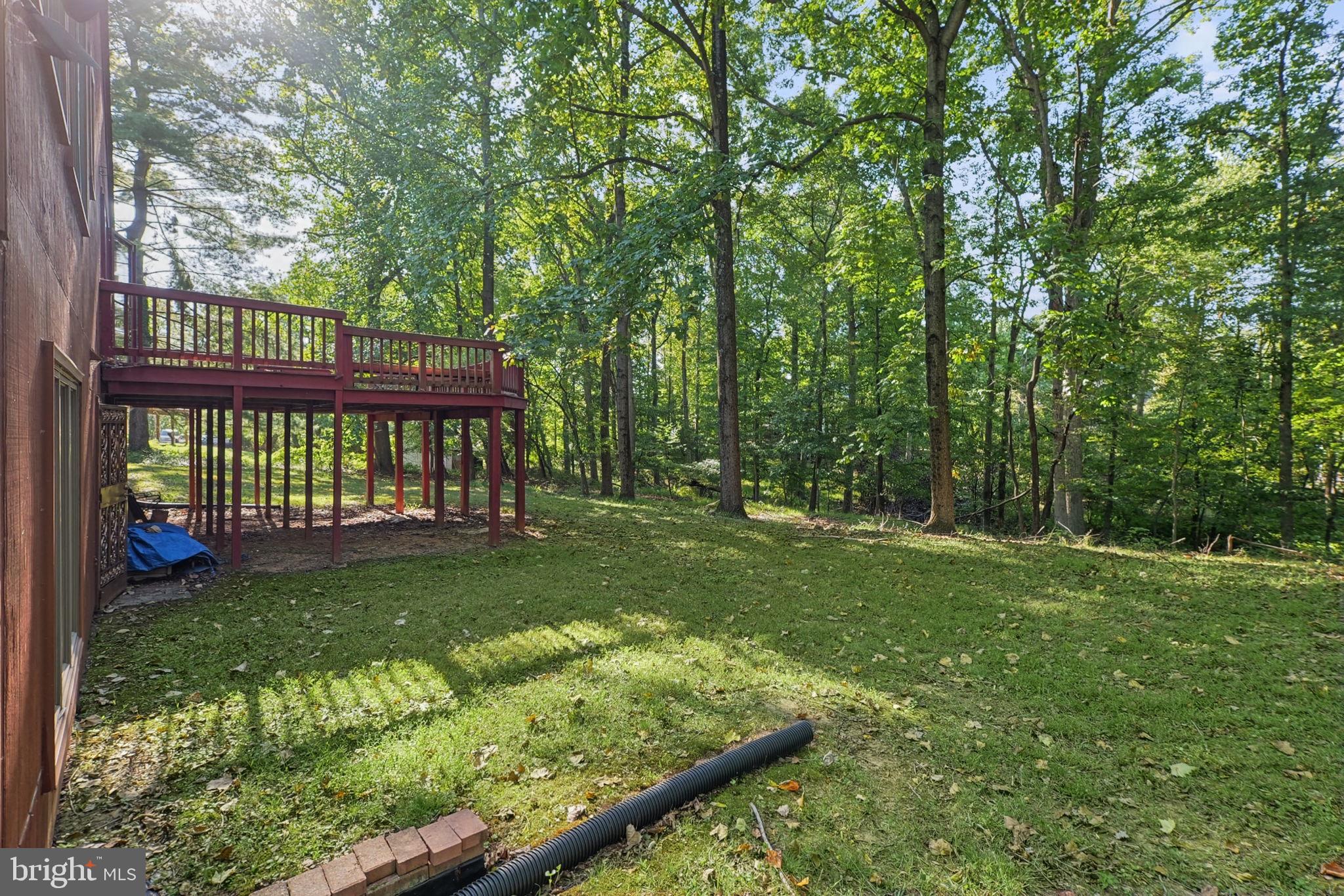 8810 Emory Grove Road Gaithersburg, MD 20877 - Photo 35 of 37 Backyard