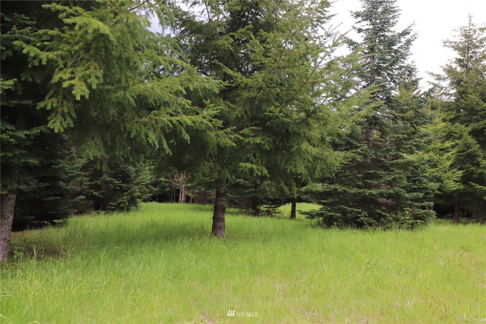 -xxx Spooner Road Chehalis, WA 98532 - Photo 11 of 14 a view of yard with green space