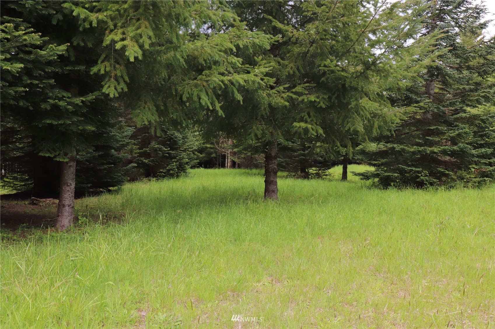 -xxx Spooner Road Chehalis, WA 98532 - Photo 13 of 14 a view of yard