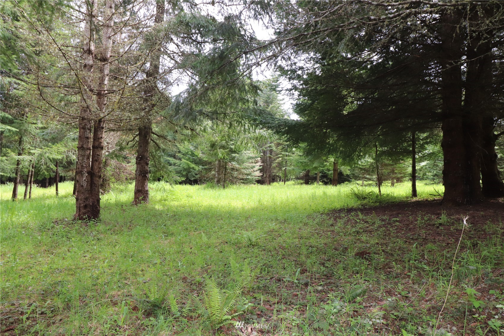 -xxx Spooner Road Chehalis, WA 98532 - Photo 3 of 14 a view of backyard with green space