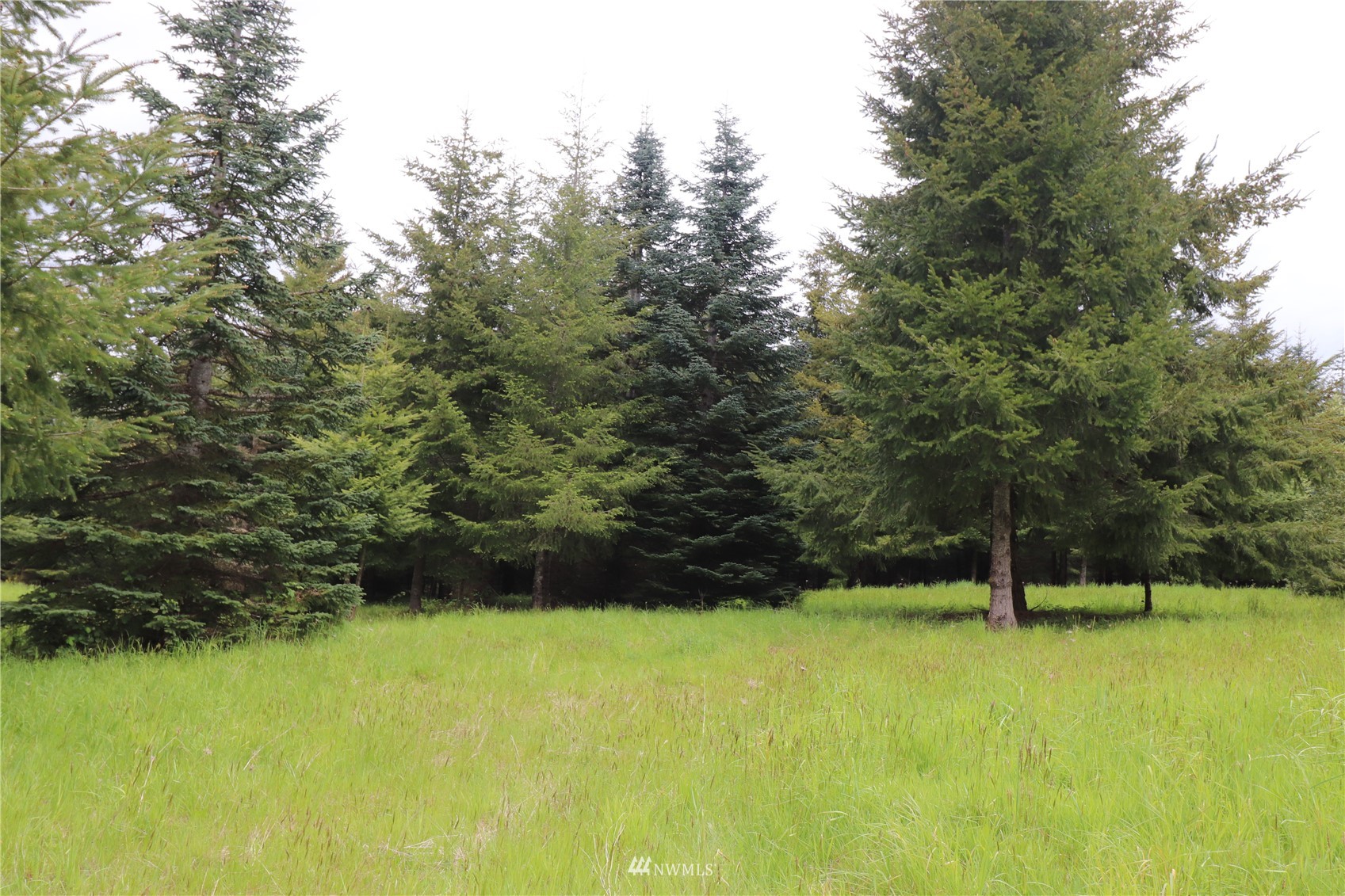 -xxx Spooner Road Chehalis, WA 98532 - Photo 9 of 14 a garden view