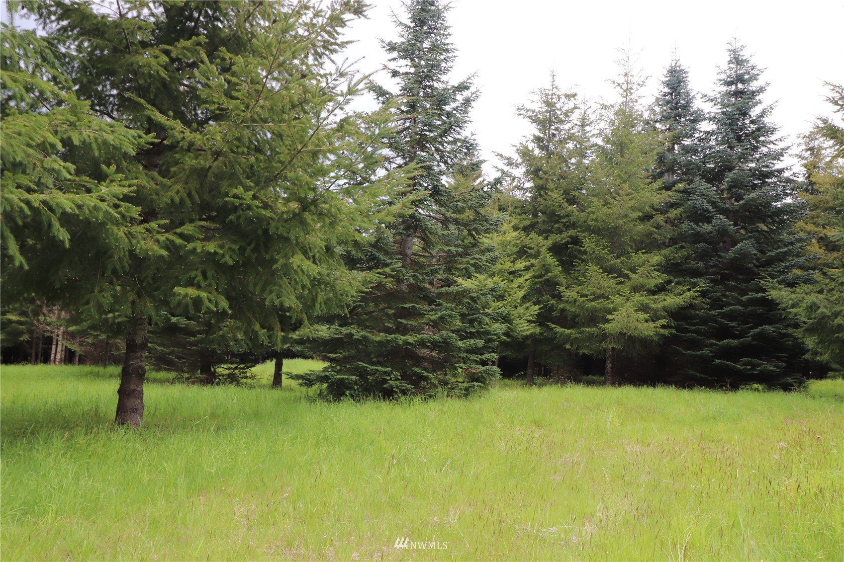 -xxx Spooner Road Chehalis, WA 98532 - Photo 10 of 14 a view of outdoor space and yard