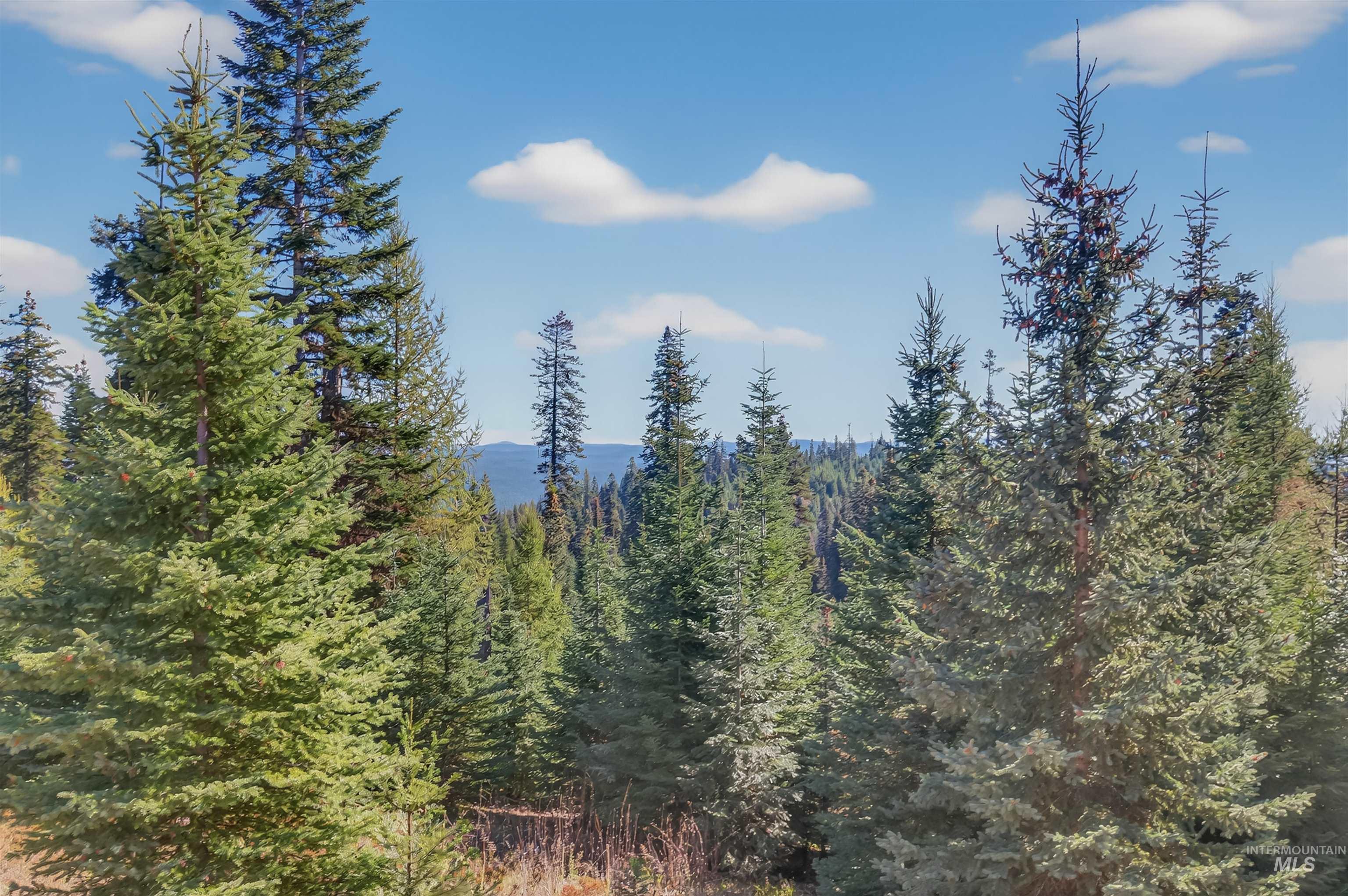 3 Tree Farm Trails Road Elk City, ID 83525 - Photo 14 of 17 Mountain view featuring a forest