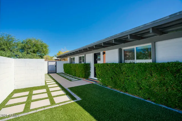 a view of backyard with a large tree