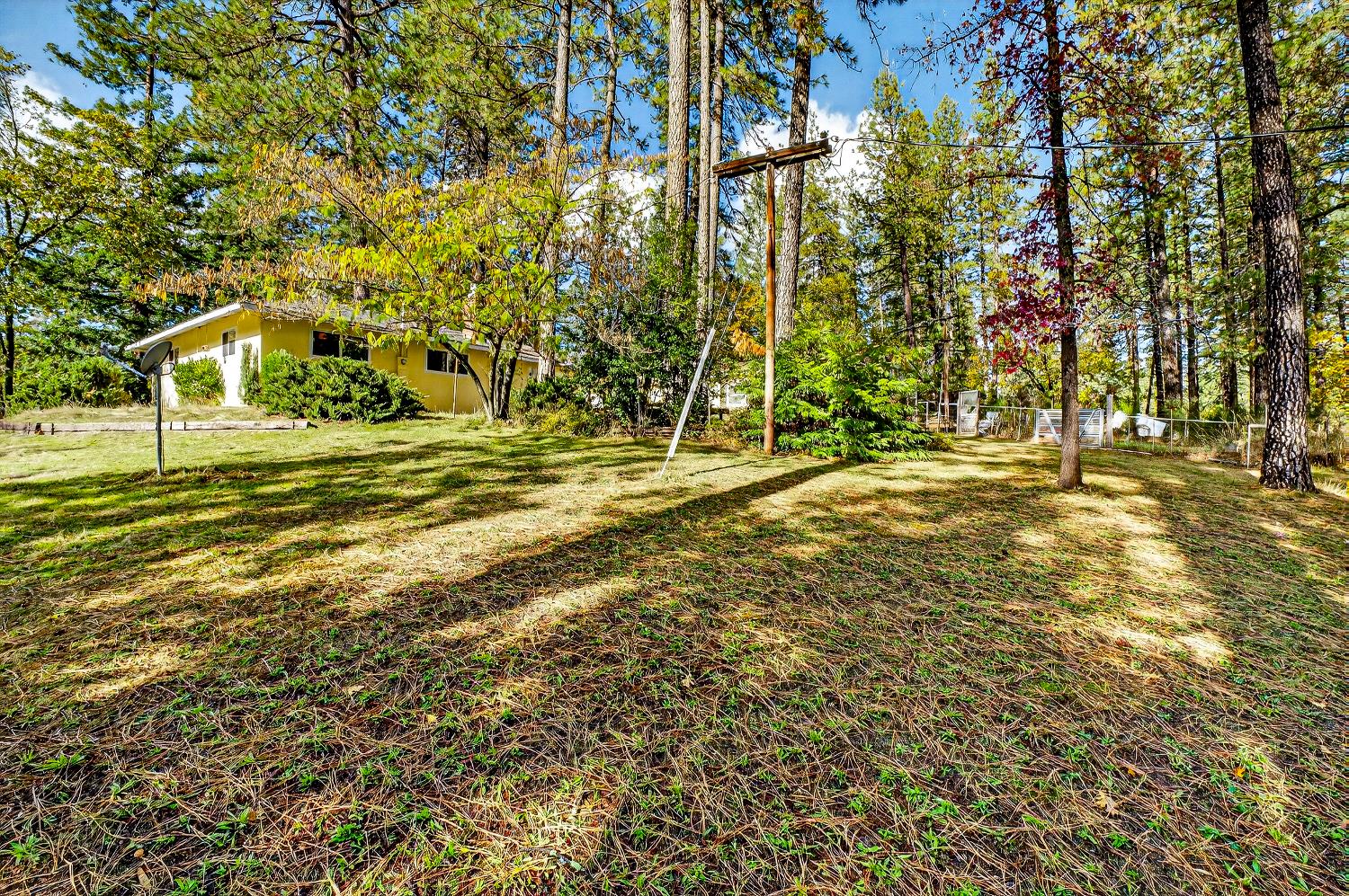 1130 Sage Road Colfax, CA 95713 - Photo 19 of 77 a view of a trees with a yard