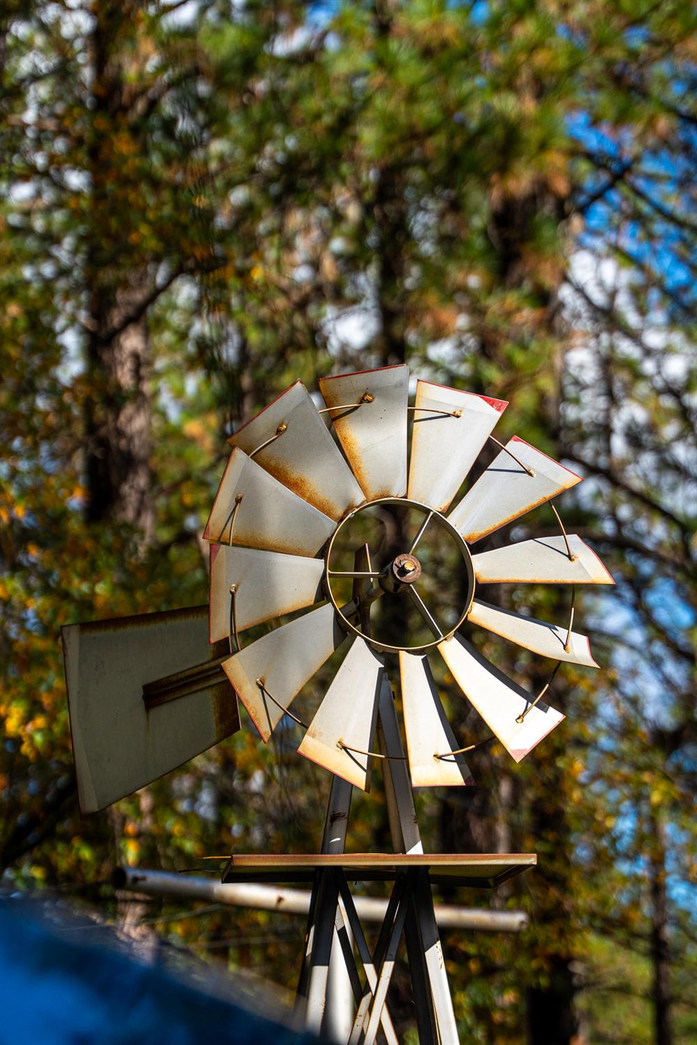 1130 Sage Road Colfax, CA 95713 - Photo 29 of 77