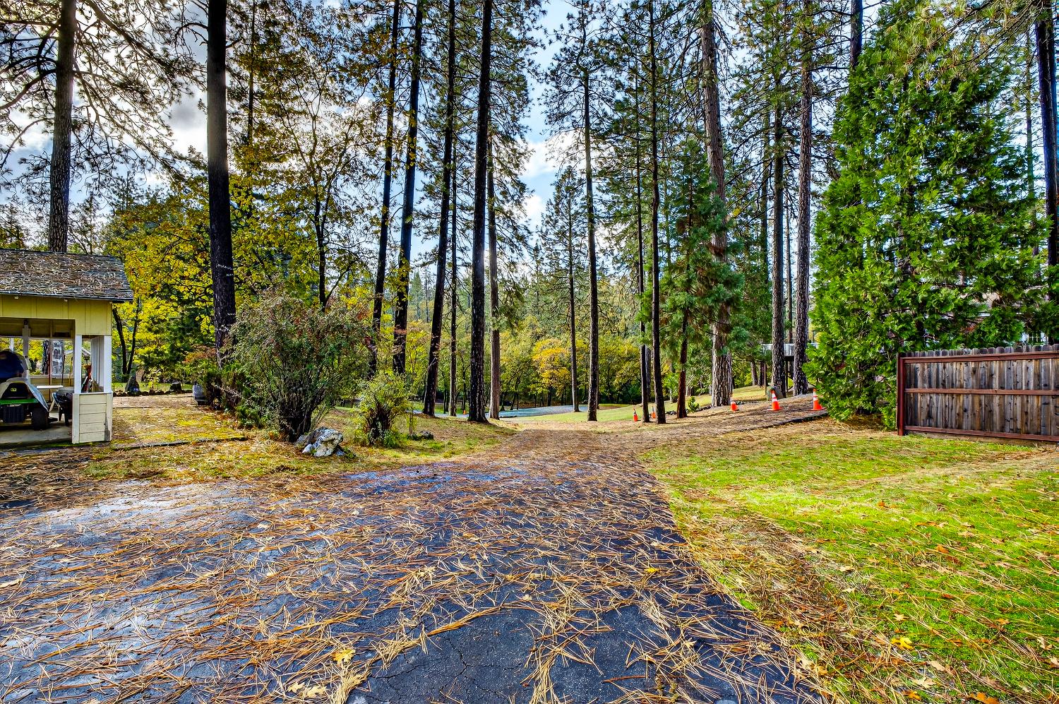 1130 Sage Road Colfax, CA 95713 - Photo 45 of 77 a view of back yard of the house