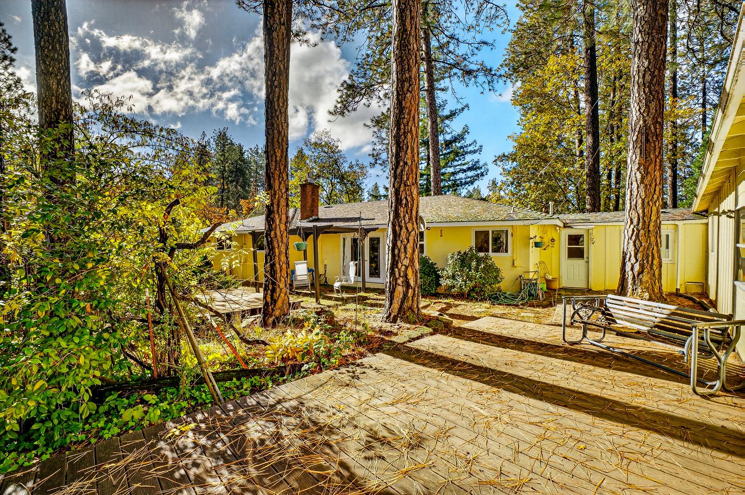 1130 Sage Road Colfax, CA 95713 - Photo 57 of 77 a row of palm trees in front of a house
