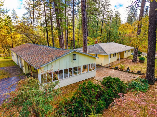 a view of a garden with plants and large trees