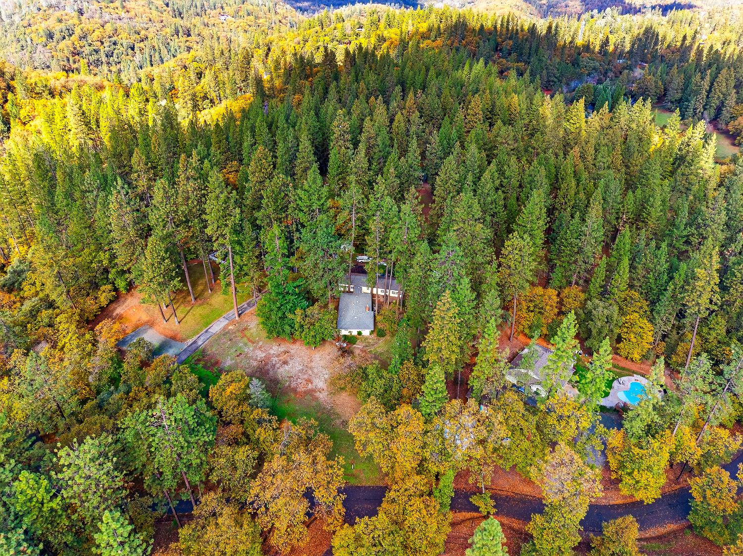 1130 Sage Road Colfax, CA 95713 - Photo 61 of 77 a view of a yard with plants