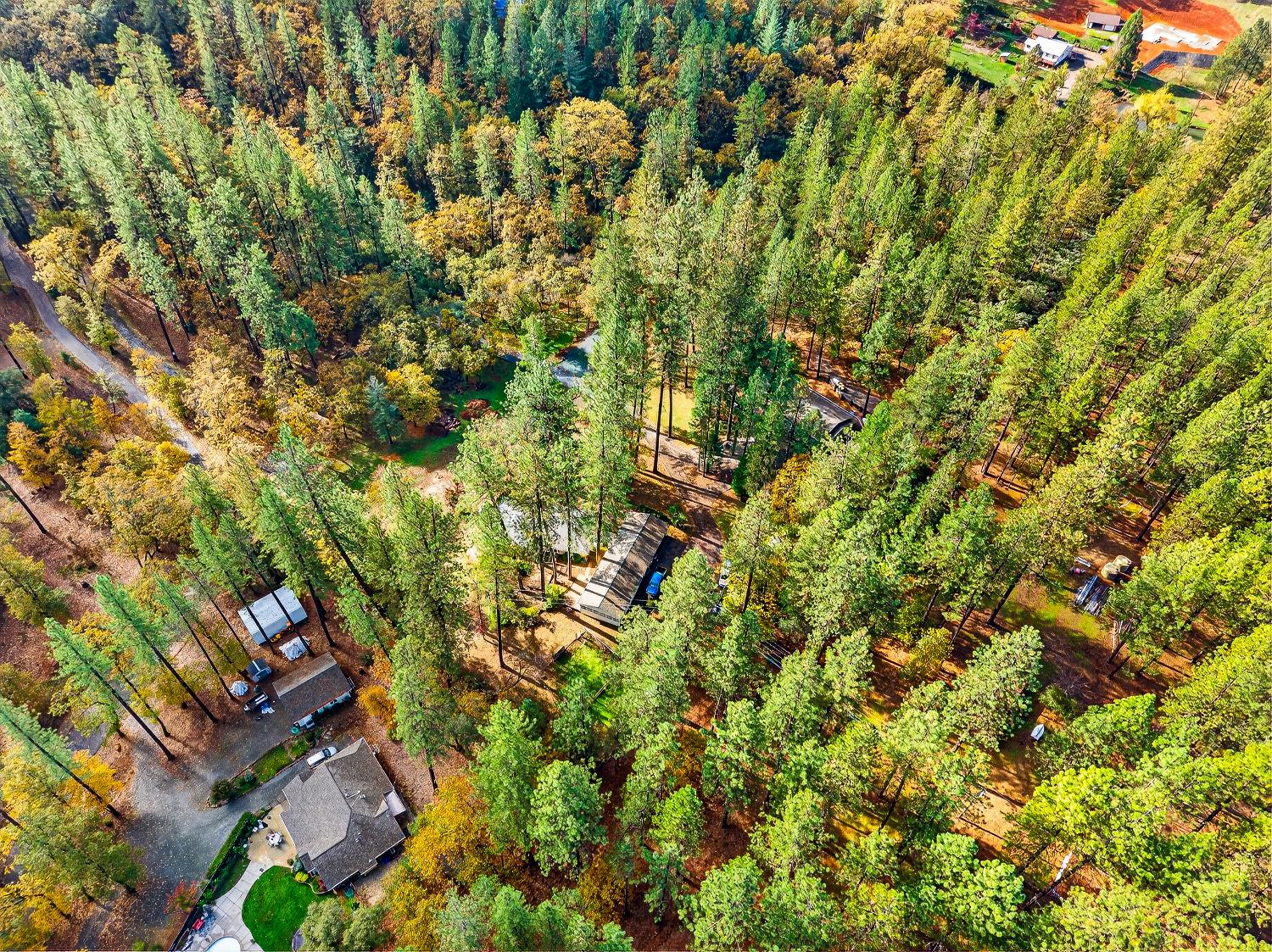 1130 Sage Road Colfax, CA 95713 - Photo 62 of 77 a backyard of a house with lots of plants