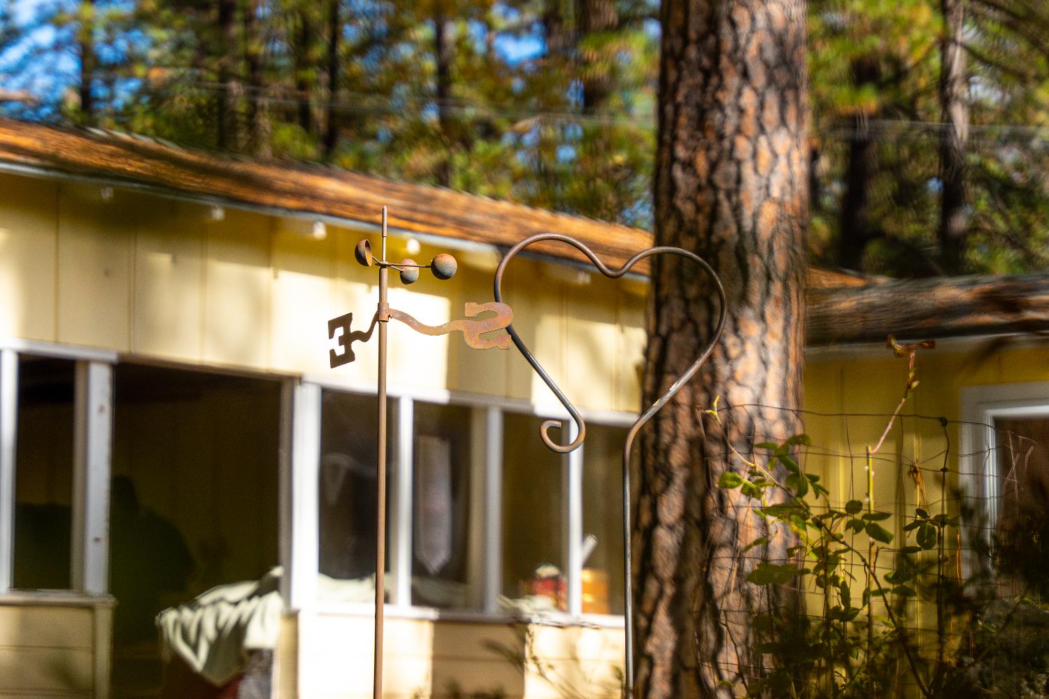 1130 Sage Road Colfax, CA 95713 - Photo 67 of 77 a view of a building