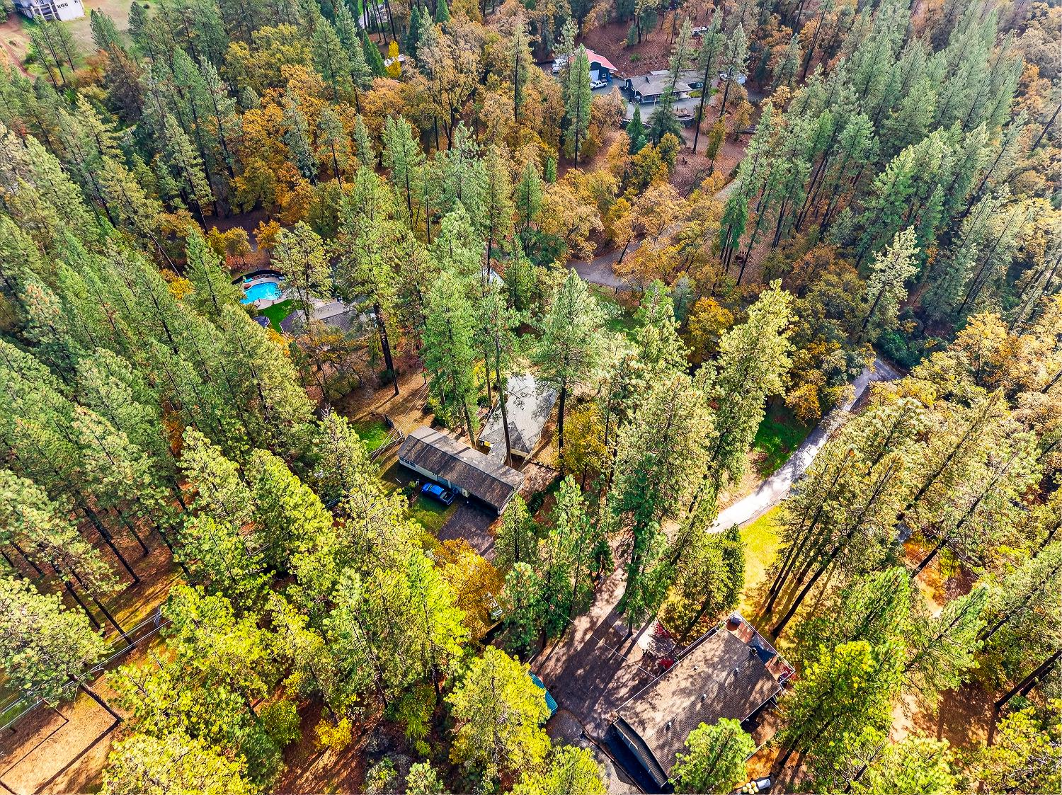 1130 Sage Road Colfax, CA 95713 - Photo 72 of 77 a backyard of a house with lots of green space