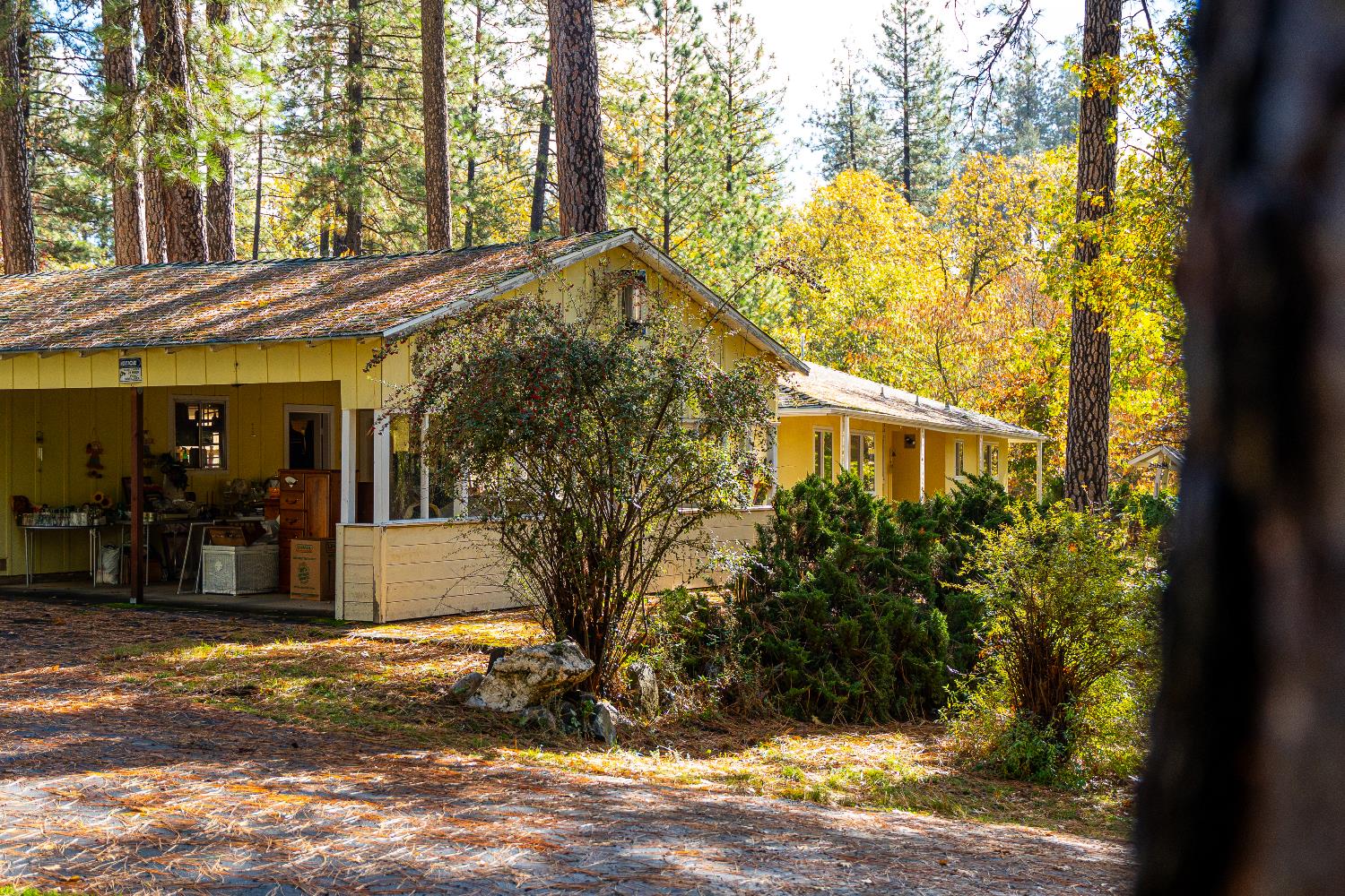 1130 Sage Road Colfax, CA 95713 - Photo 8 of 77 a view of a house with backyard and tree