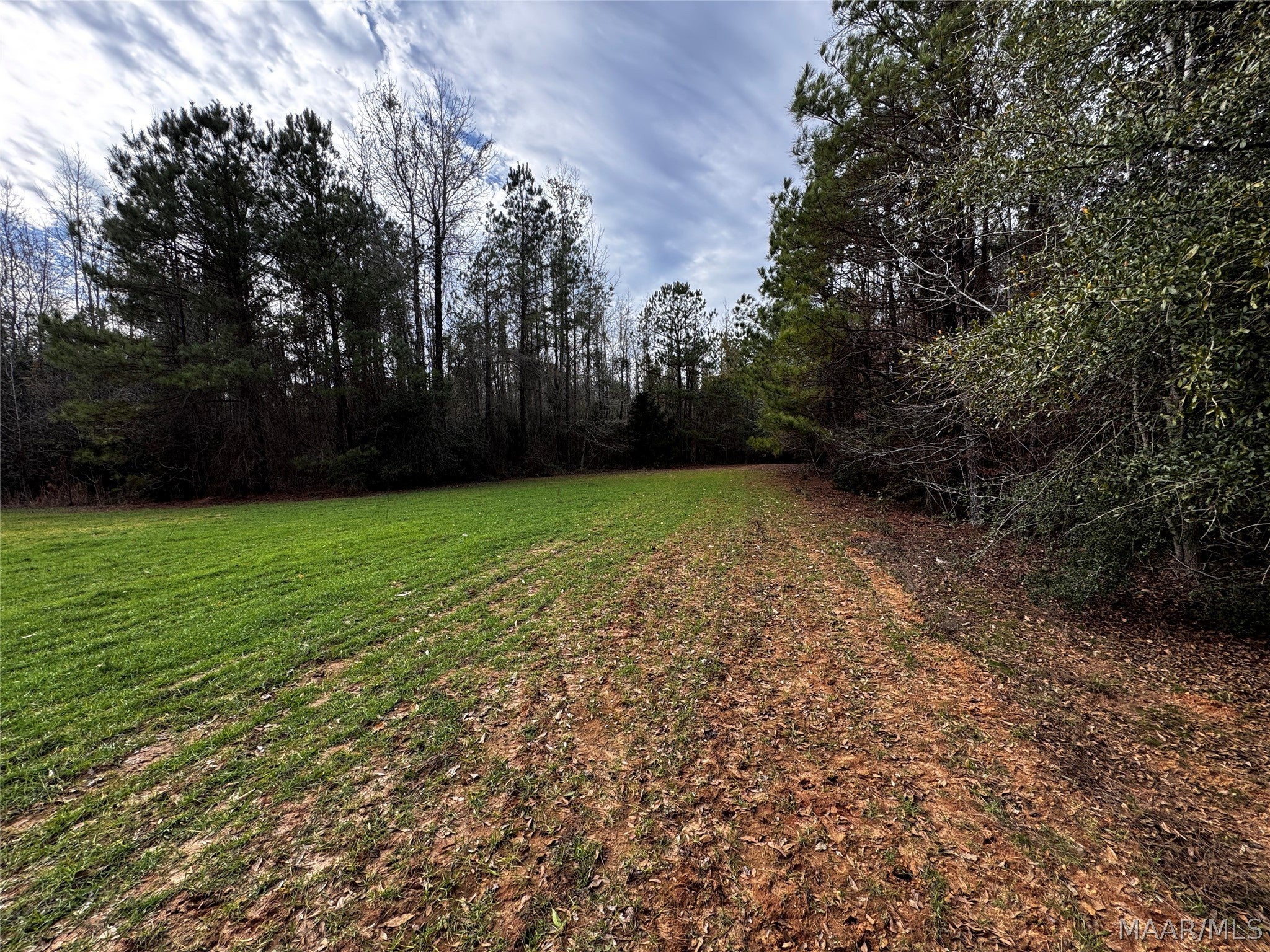 0 County Road Monroeville, AL 36460 - Photo 26 of 44 Gallery Image 26