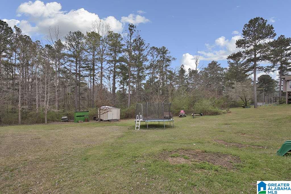 694 South Hillcrest Road Odenville, AL 35120 - Photo 20 of 22