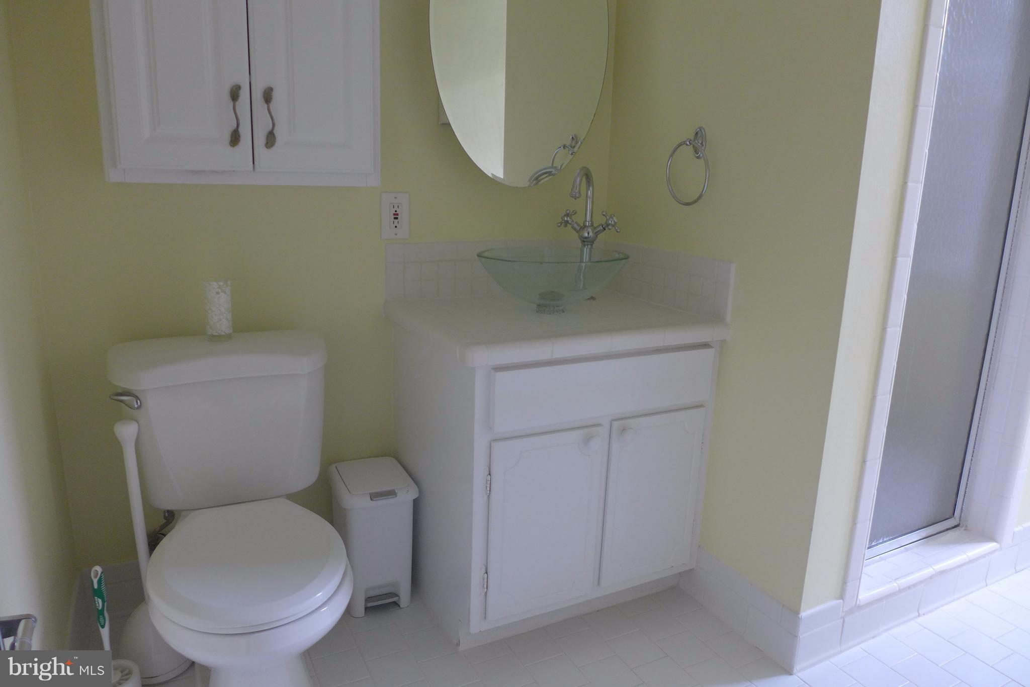 1115 Randolph Road McLean, VA 22101 - Photo 16 of 19 Bath (Master)