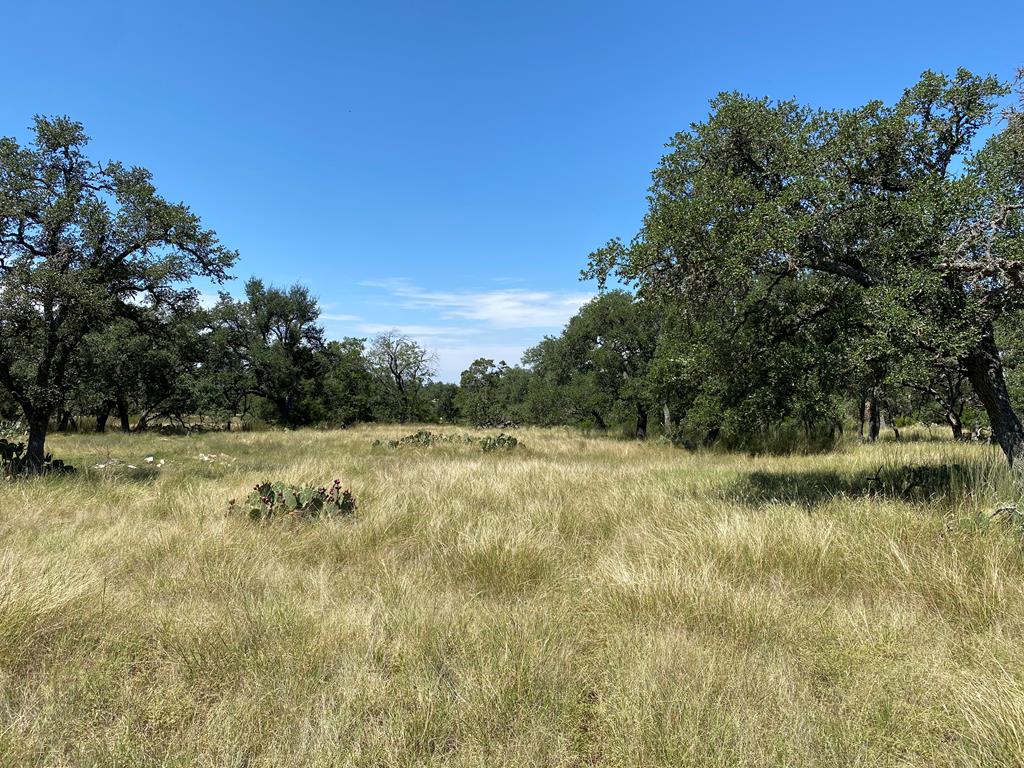 210 Dally Road Comfort, TX 78013 - Photo 63 of 79 Land