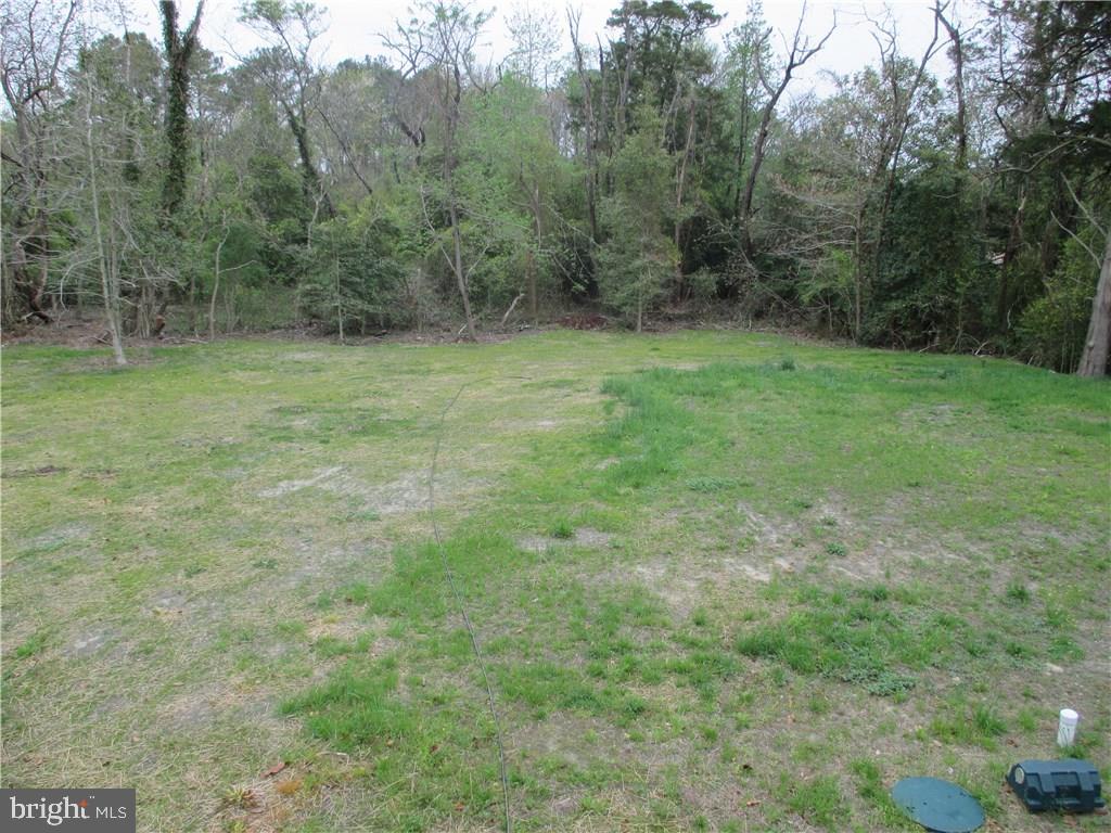 30595 Sandy Landing Road Dagsboro, DE 19939 - Photo 4 of 26 Gallery Image 4