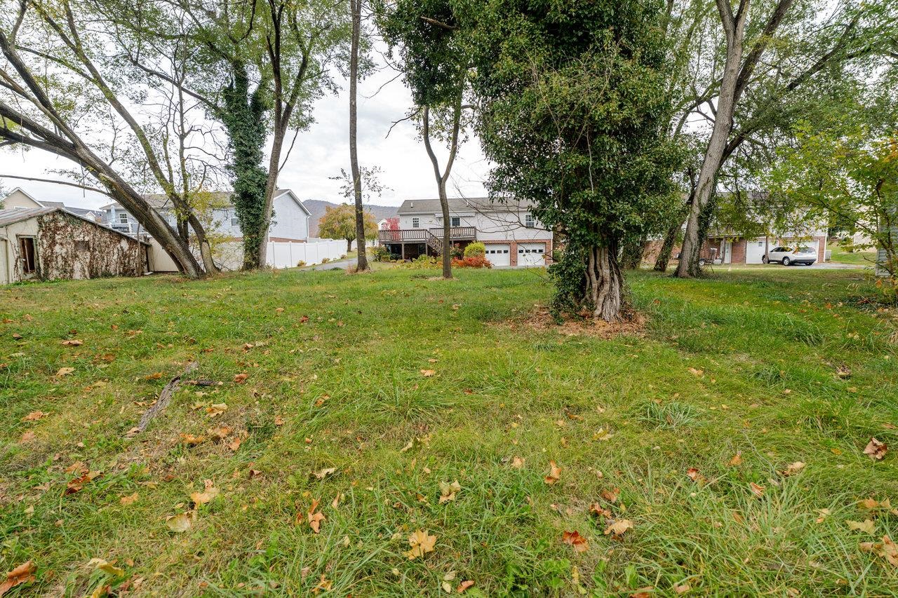 Town Hall Road McGaheysville, VA 22840 - Photo 2 of 14 a view of a backyard with large trees