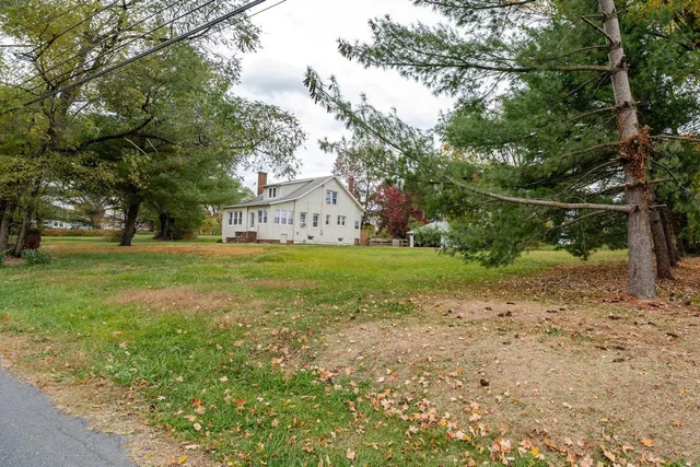 a view of a yard with plants and trees