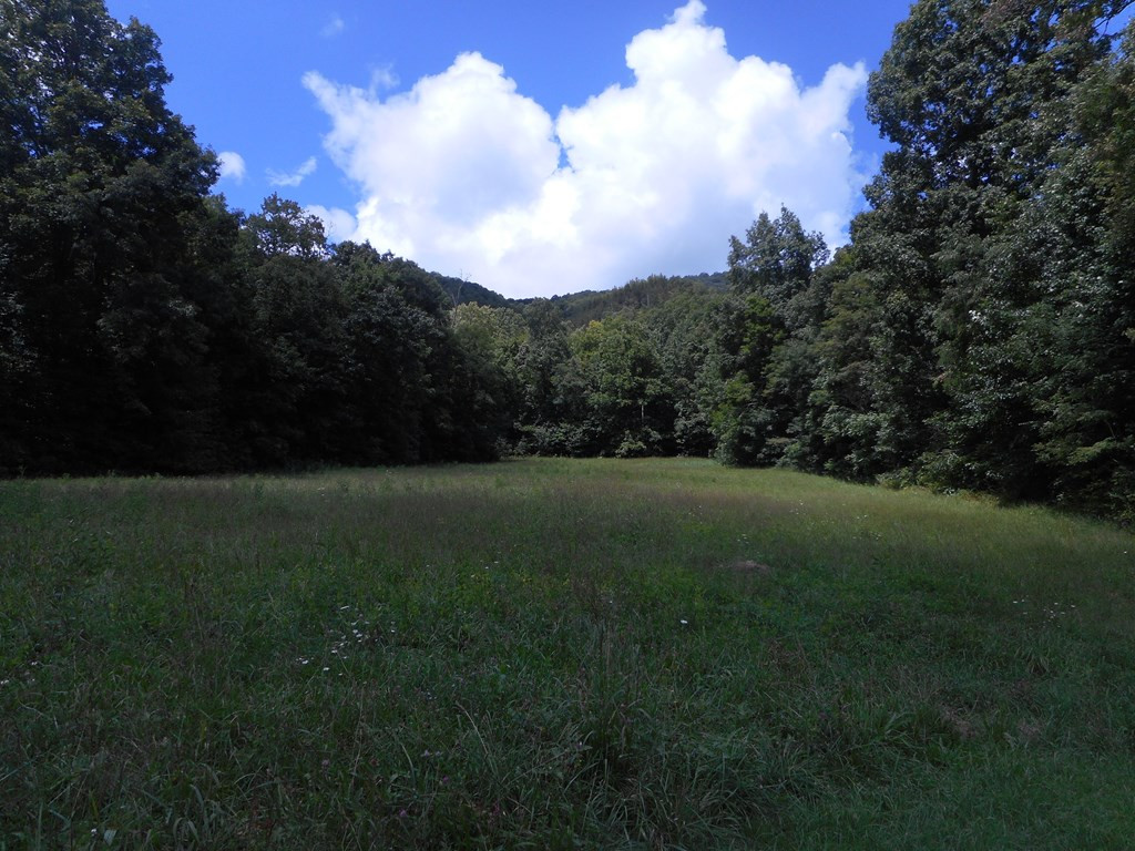 999 Ledbetter Road Robbinsville, NC 28771 - Photo 16 of 27