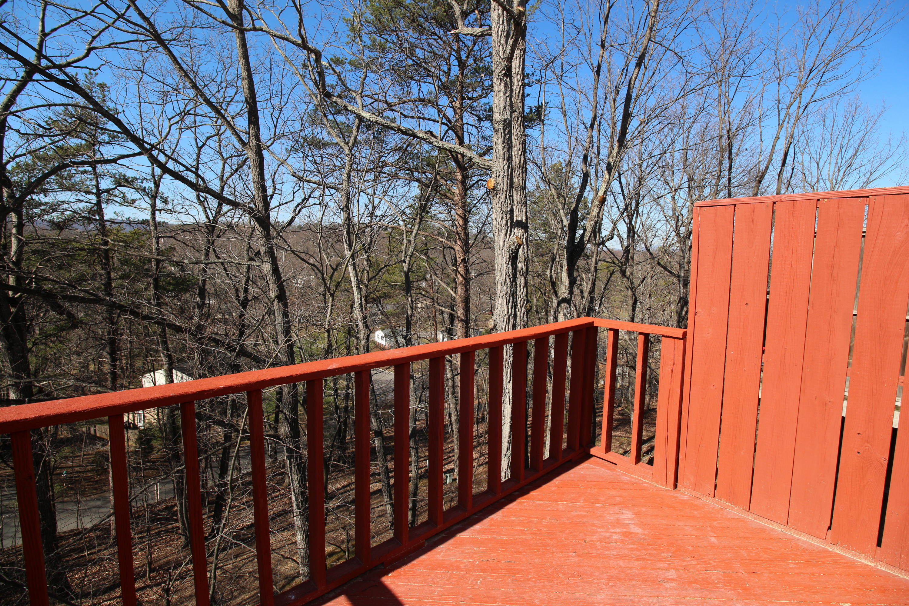 3359 Forest Ridge Road Roanoke, VA 24018 - Photo 26 of 29 300 dpi25