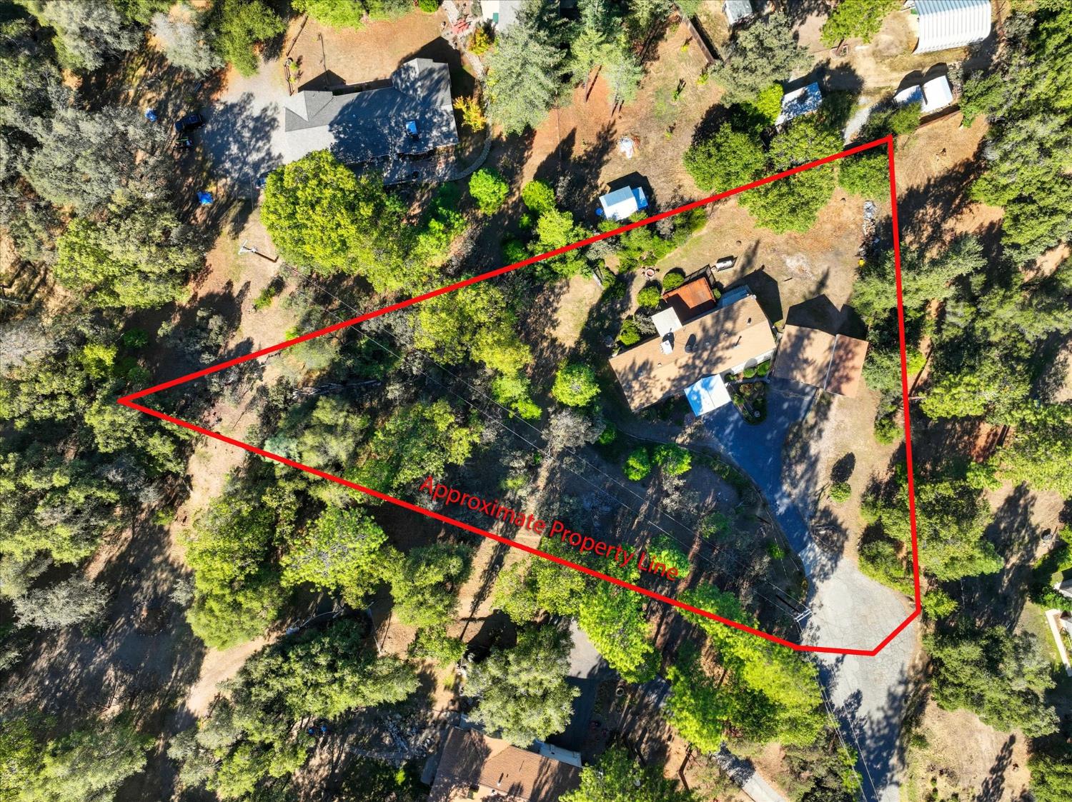 38040 Wortham Road Oakhurst, CA 93644 - Photo 4 of 54