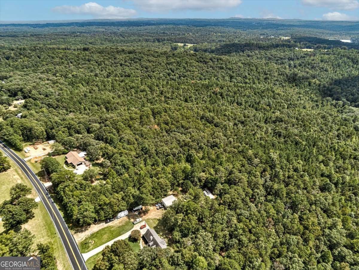 0 Old Ridgeway Road Bremen, GA 30110 - Photo 2 of 2