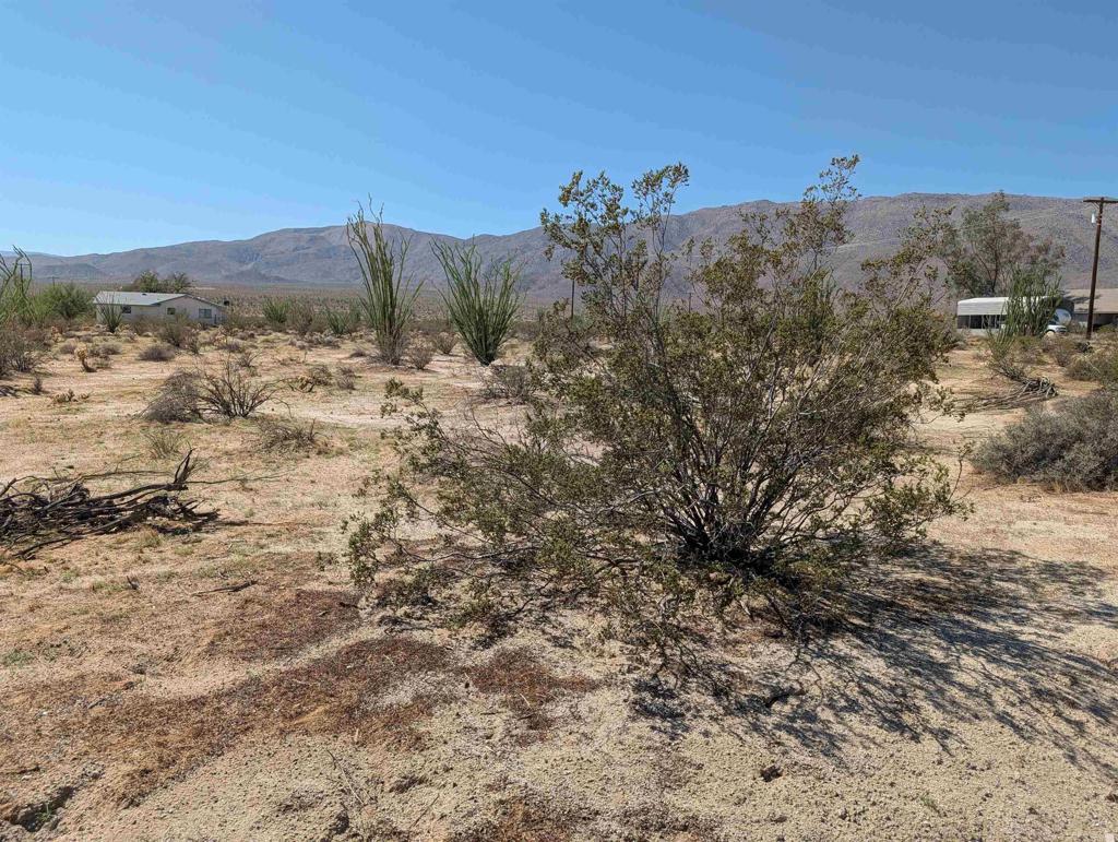 Rango Way Borrego Springs, CA 92004 - Photo 2 of 4 a view of a dry yard with mountains in the background