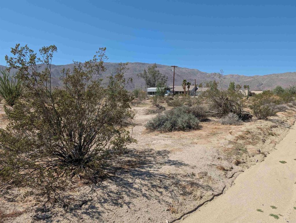 Rango Way Borrego Springs, CA 92004 - Photo 3 of 4 a view of a dry yard with trees