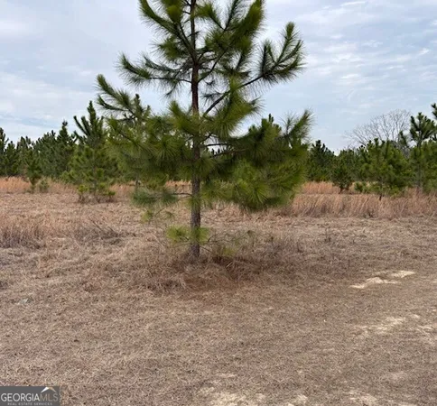 $369,000 | 0 Oakridge Church Road, Tifton, GA 31794