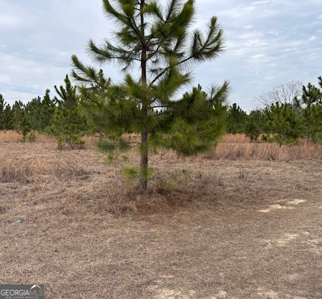 0 Oakridge Church Road Tifton, GA 31794 - Photo 1 of 4