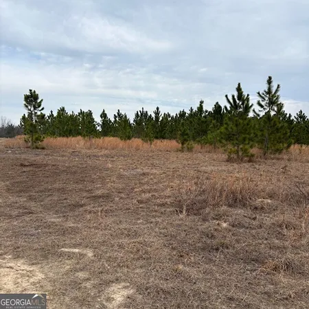 $369,000 | 0 Oakridge Church Road, Tifton, GA 31794