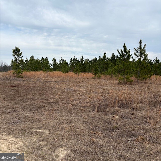 0 Oakridge Church Road Tifton, GA 31794 - Photo 2 of 4