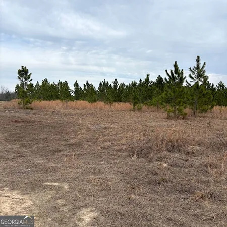 $369,000 | 0 Oakridge Church Road, Tifton, GA 31794