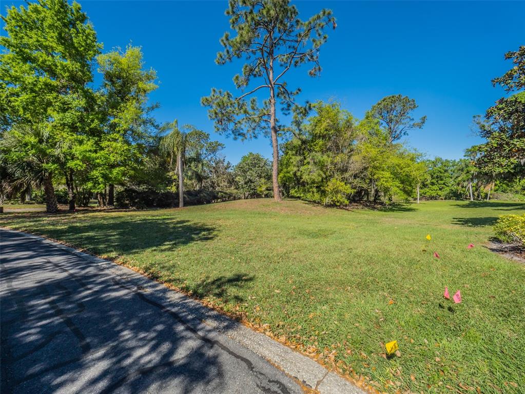 2938 Sunbittern Court Windermere, FL 34786 - Photo 21 of 28 Gallery Image 21
