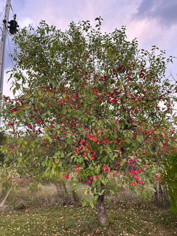 $529,000 | 3614 Creek Road, Albany, VT 05845