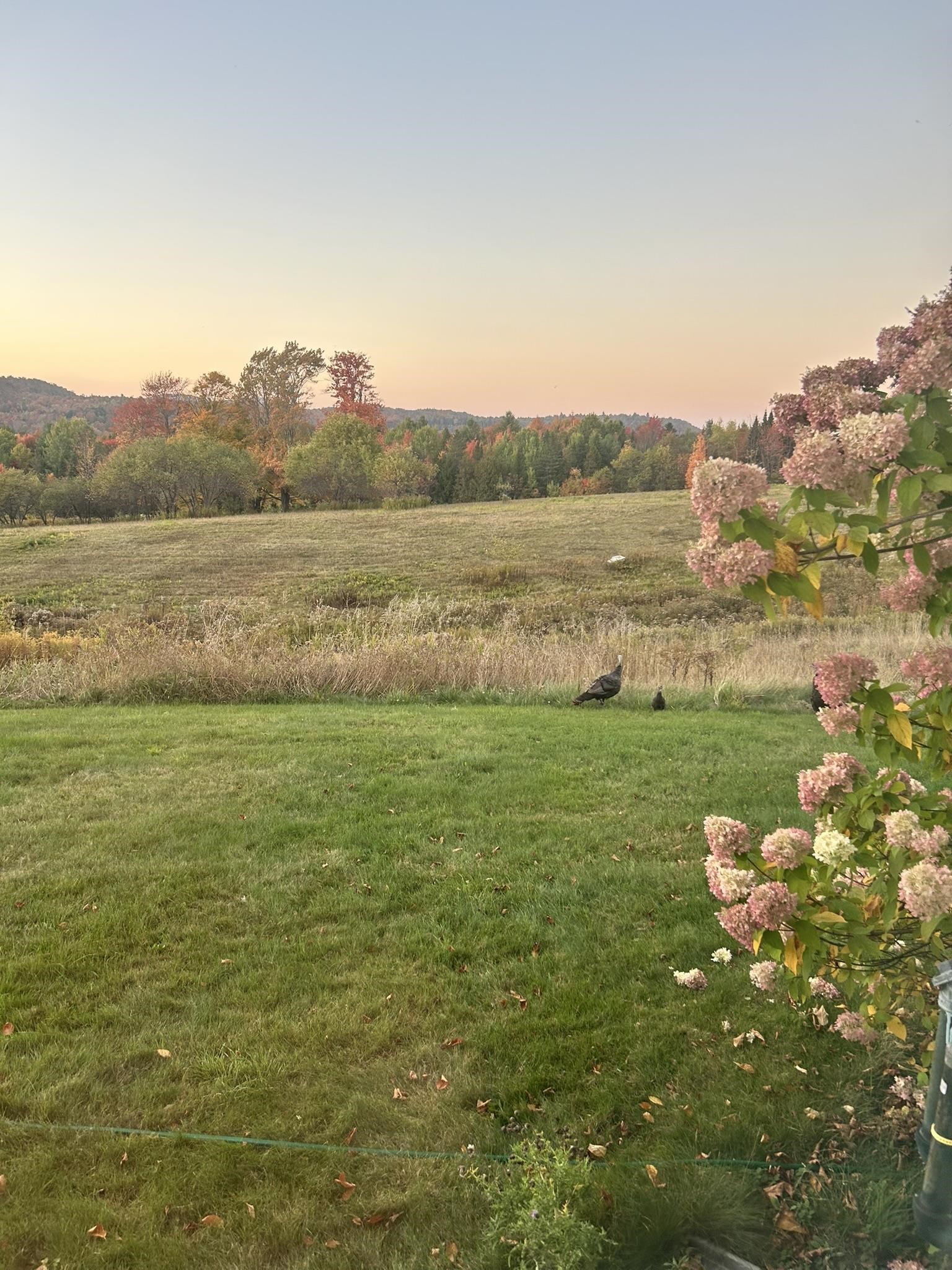 3614 Creek Road Albany, VT 05845 - Photo 54 of 60