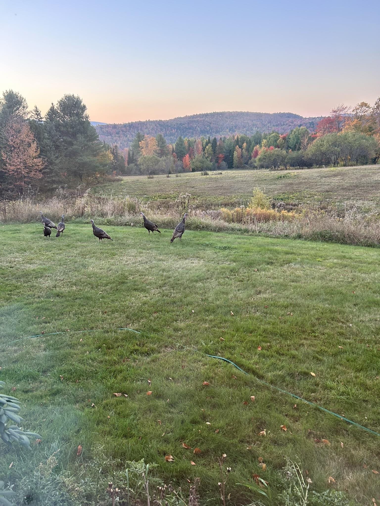 3614 Creek Road Albany, VT 05845 - Photo 55 of 60