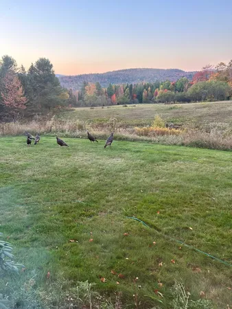 $509,000 | 3614 Creek Road, Albany, VT 05845