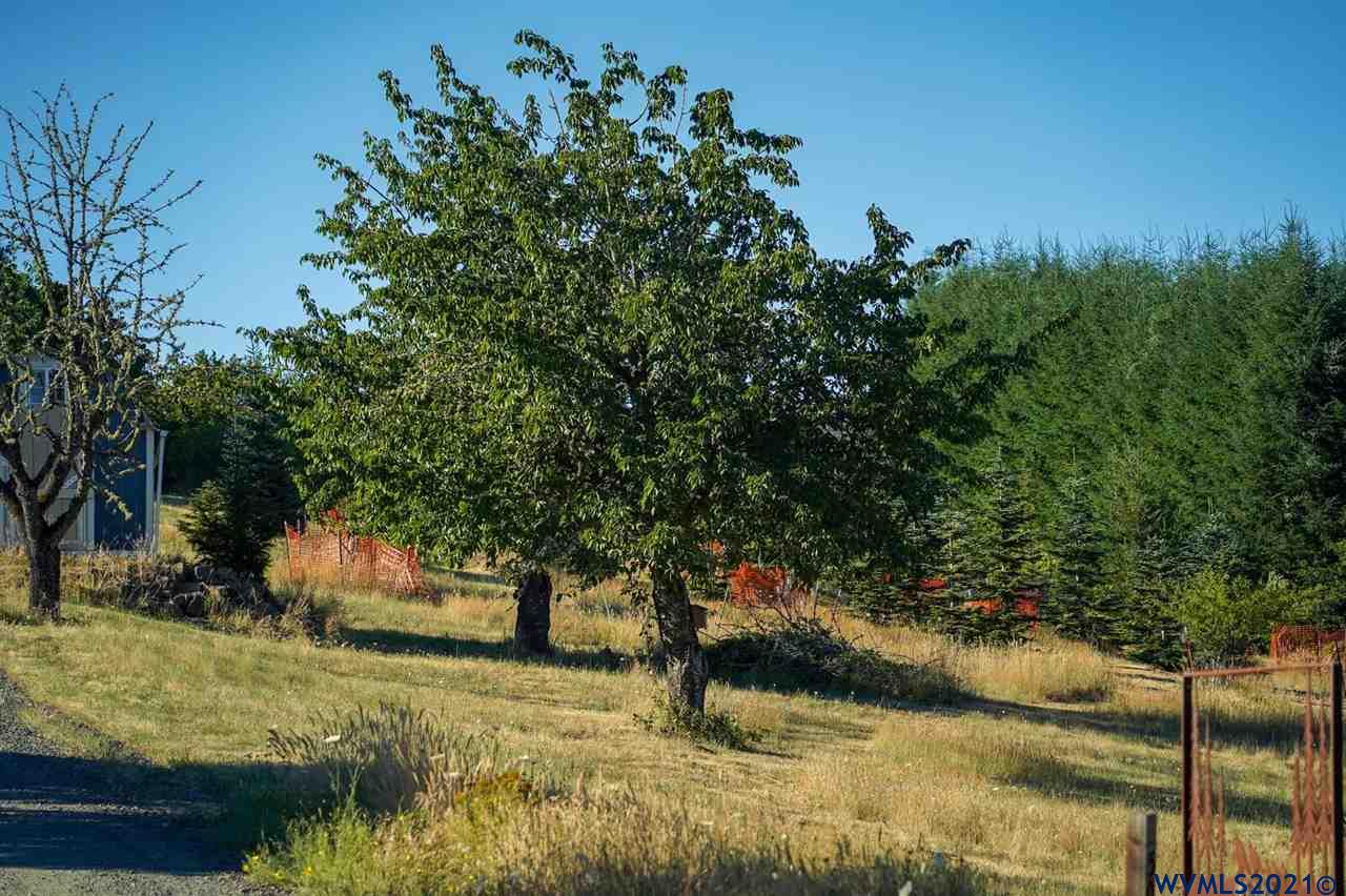 West Larson (lot 18) Road Monroe, OR 97456 - Photo 13 of 21