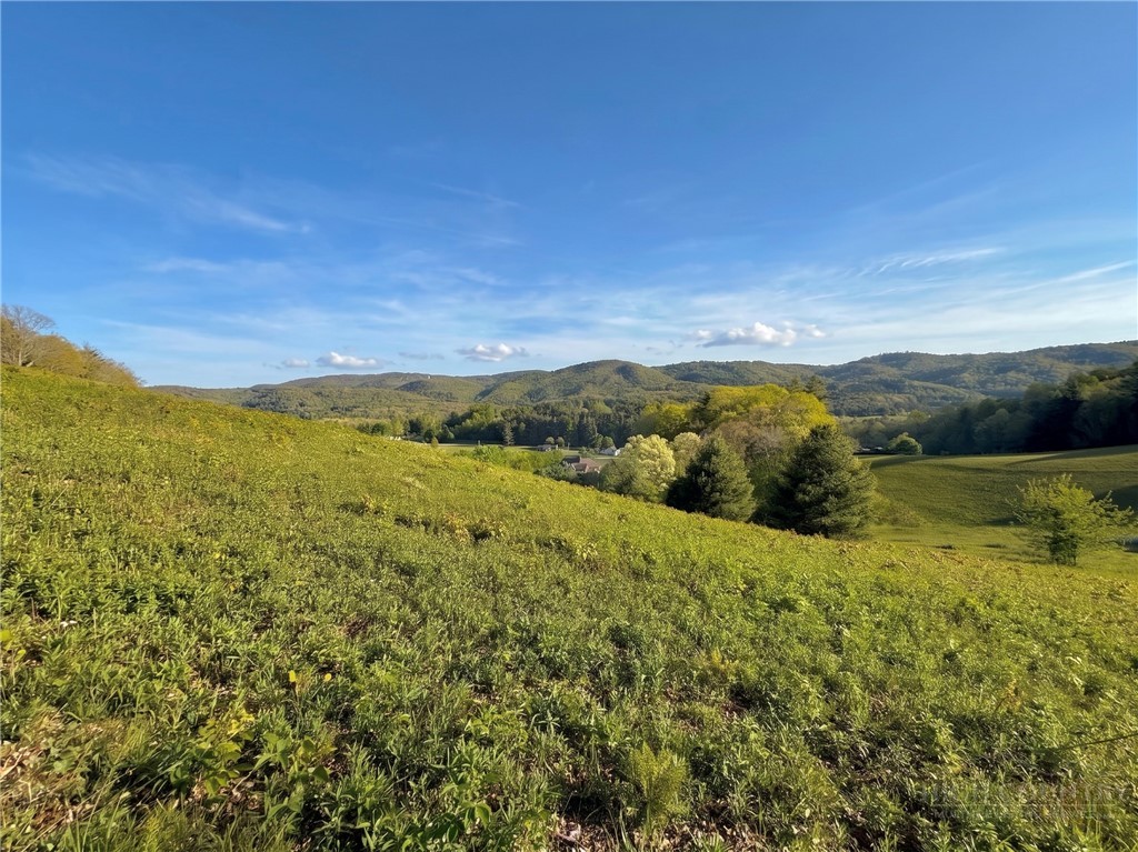 Lot 27 Hartley Knob Road Boone, NC 28607 - Photo 6 of 15